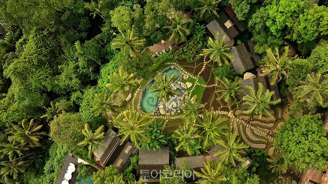 &nbsp; 밤부 인다&nbsp;