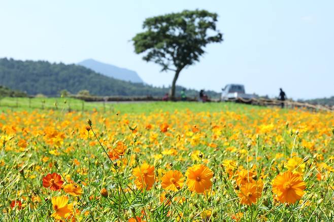 연합뉴스