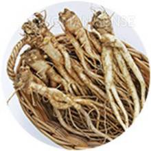 어떤 효능이 있을까?