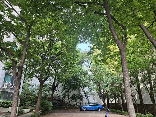 지난 20일 서울 강남구 청담동 신동아아파트 단지 안에서 본 '청담 르엘' 한강변 공사 현장. 가림막 때문에 한강이 보이지 않는다. /백윤미 기자