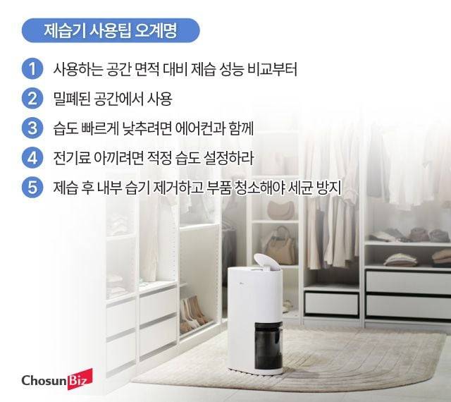 그래픽=정서희