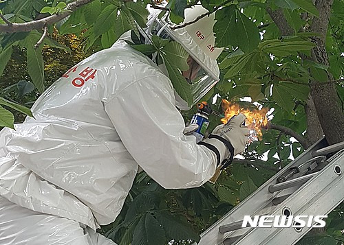 【대구=뉴시스】말벌 제거 훈련을 실시하고 있는 모습이다. 뉴시스DB. 2024.08.21. photo@newsis.com