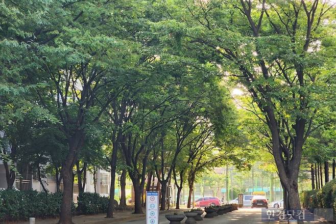 수도권의 한 노후 아파트 단지 모습. 숲을 연상시키는 입구 너머에는 초등학교와 중학교, 고등학교가 모여 있다. 사진=오세성 한경닷컴 기자