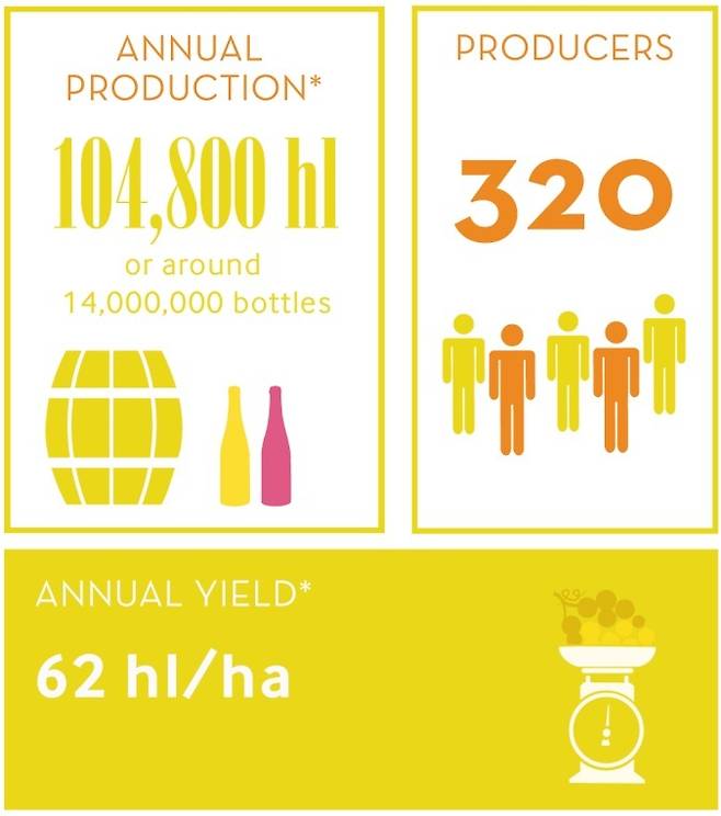 크레망 드 루아르 현황.&nbsp;&nbsp;부베 라뒤베
