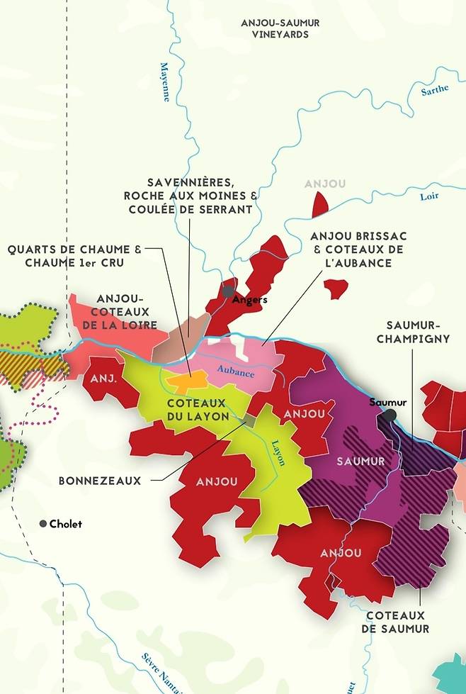 앙주-소뮈르 와인산지. FWS