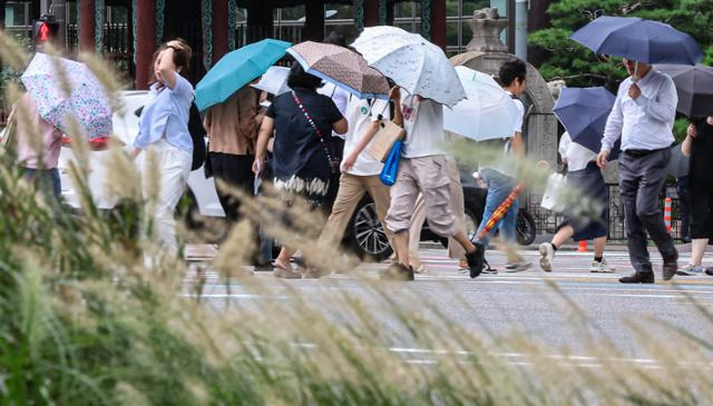 절기상 처서인 지난 22일 서울 종로구 광화문 인근에 피어난 수크령 뒤로 우산을 쓴 시민들이 지나고 있다. 뉴스1