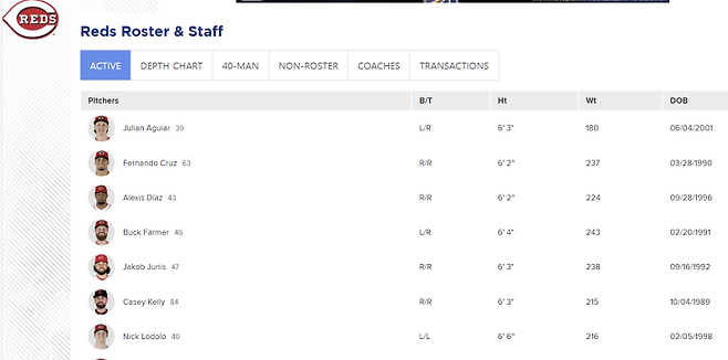 신시내티 빅리그 로스터에 포함된 켈리. 사진=MLB 닷컴 캡처