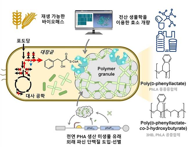 방향족 폴리에스터 생산 미생물 개발 전략. KAIST