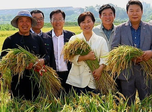 송미령 농림축산식품부 장관이 지난 18일 충남 당진 해나루쌀조합 들판에서 올해 첫 수확한 조생종 벼를 안고 활짝 웃고 있다. 송 장관은 취임 이후 235일간 141회 현장을 방문했다. [사진 농림부]