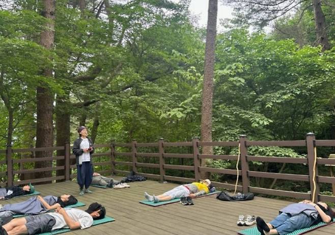 가평군 아름드리 잣나무 숲에서 '1박2일 가족 건강캠프'가 열리고 있다. / 사진제공=가평군