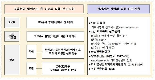 교육부가 28일 발표한 디지털 성사안 신고 상담 지원체계. (자료 제공=교육부)