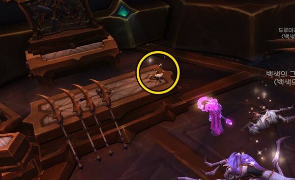 - 새끼거미의 실붓