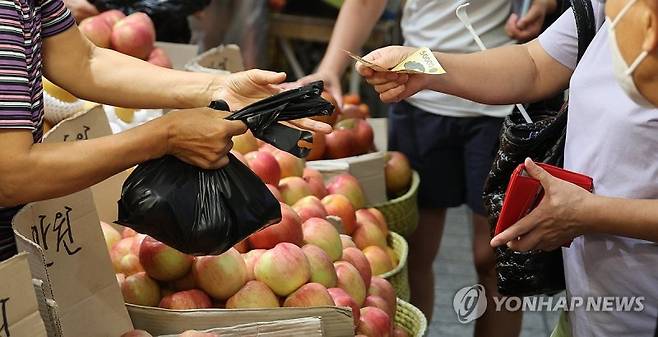 자료사진.연합뉴스