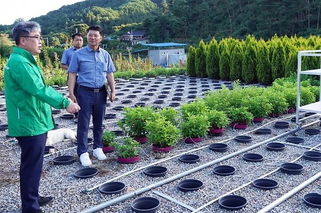 28일 충북 청주시 상당구 소재 조경수 재배임가를 방문해 스마트임업 현장을 살피는 임상섭 산림청장. 산림청