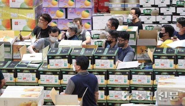 사은 서울 가락시장의 과일 경매 모습. 농민신문DB