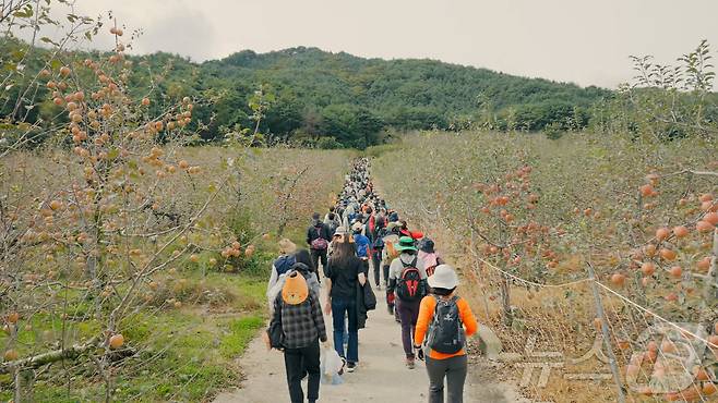 제1회 백두대간 가든하이킹 참여자들이 봉화지역 자랑인 사과밭길을 걷고 있다.(한국수목원정원관리원 제공) /뉴스1