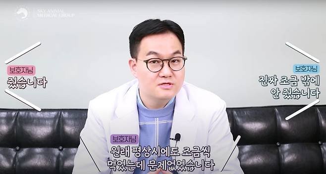 동물이 가진 소화 능력을 상회하는 고지방 식이를 한 경우 췌장염이 발생할 수 있다. 평소 문제가 없었거나 소량이라도 췌장에 무리를 줄 수 있다. (스카이동물메디컬센터 유튜브 채널 갈무리) ⓒ 뉴스1