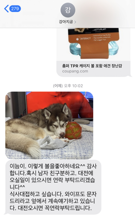 image.png 애견펜션에서 만난 강아지한테 공 무료나눔했는데