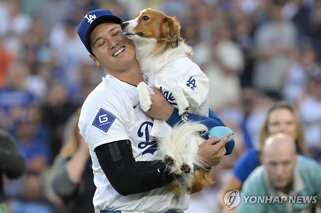 반려견 데코이 안고 있는 오타니 (로스앤젤레스 로이터=연합뉴스) 미국프로야구(MLB) 로스앤젤레스(LA) 다저스에서 활약하는 일본 야구스타 오타니 쇼헤이가 28일(현지시간) LA 다저스타디움에서 열린 볼티모어 오리올스와의 경기에 앞서 자신의 반려견인 데코이를 안고 행복한 표정을 짓고 있다. 이날 오타니는 시즌 42호 홈런포를 터트렸다. 2024.08.29 passion@yna.co.kr