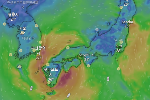 image.png 이번 주말 일본행 비행기 티켓.jpg