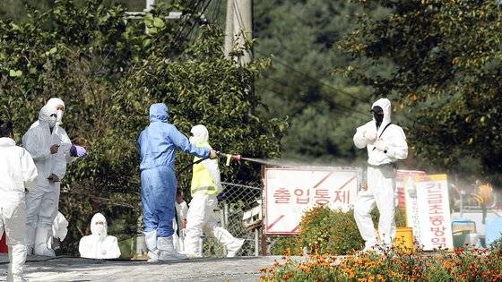 2022년 9월 20일 강원 춘천시의 한 양돈농가에서 아프리카돼지열병(ASF)이 발생해 방역 당국 관계자가 출입을 통제하고 있다. [연합뉴스]