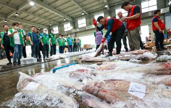 전남 신안군 임자도 내 송도위판장에서 민어 경매가 진행 중인 모습. 중앙포토