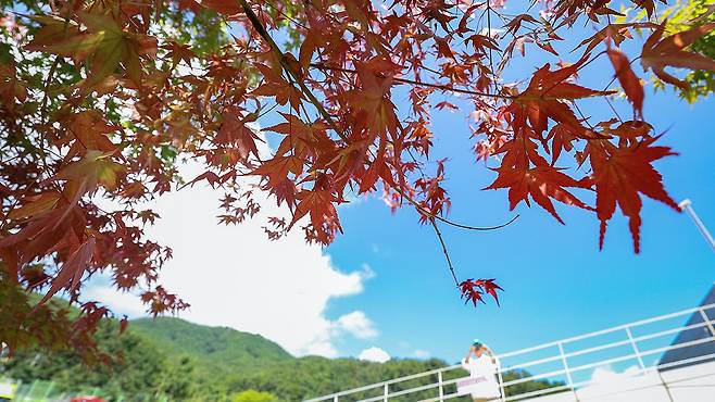 연합뉴스