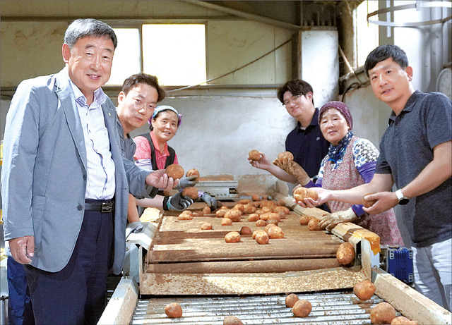 강원 정선 임계농협 손재우 조합장(맨 왼쪽)이 직원들과 함께 농산물산지유통센터(APC)에서 선별 중인 감자를 들어 보이고 있다.