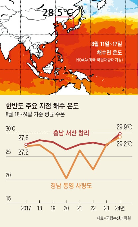 그래픽=김성규