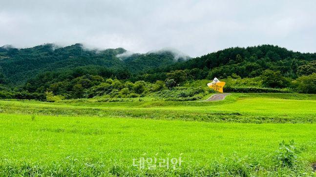 국제밤하늘 보호지역으로 선정된 수비면 일대는 늦반딧불이를 관찰할 수 있는 넓은 공원이 있다. 밤이 되면 앞에 보이는 산등성이를 따라 늦반딧불이가 모습을 드러낸다. ⓒ데일리안 배군득 기자