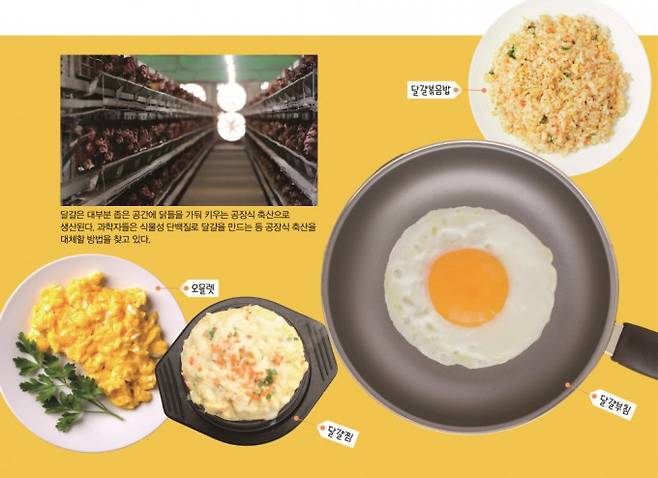 달걀로 만든 음식들. 게티이미지뱅크, 동아 DB 제공