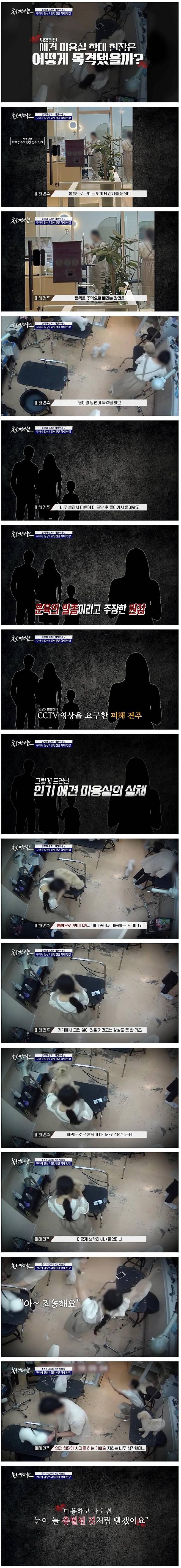 2.jpg 강아지들 구타하고 학대해서 난리난 애견미용실 CCTV