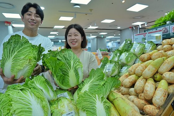 서울 송파구 롯데마트 제타플렉스 잠실점 농산물 매장에서 롯데마트 채소팀 상품기획자들이 고랭지 배추를 들고있다. 롯데마트는 지난 29일부터 고랭지 배추와 알배기 배추를 4000원대에 판매한다. 사진 롯데쇼핑