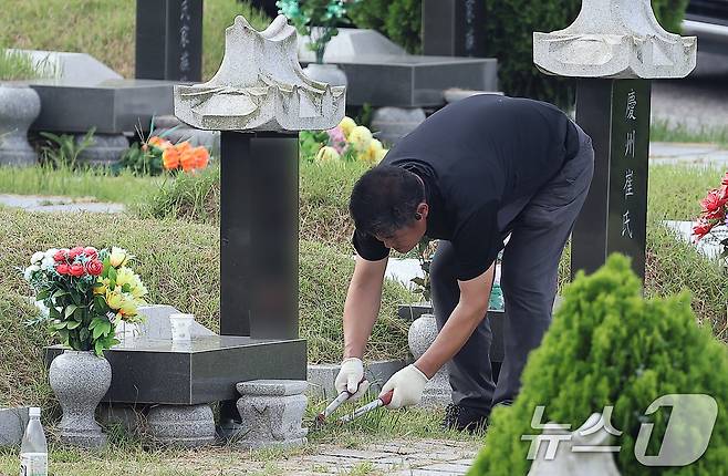 추석 명절을 2주 가량 앞둔 1일 한 성묘객이 벌초를 하고 있다. 2024.9.1/뉴스1 ⓒ News1 김진환 기자