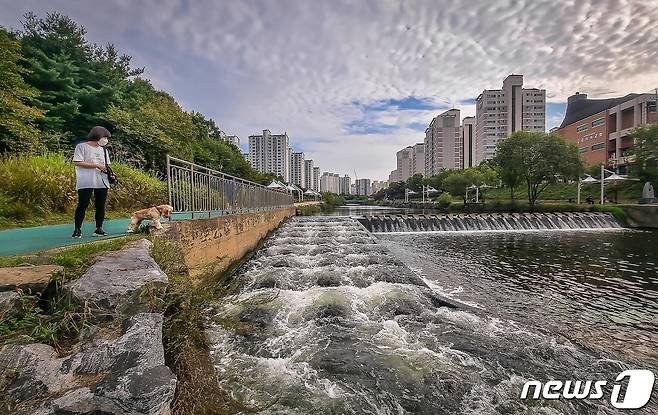 제4회 어도(魚道) 사진 공모전 휴대폰부문 최우수상 수상작인 신성호씨의 '물고기가 있나요'.(한국농어촌공사 제공) /News1