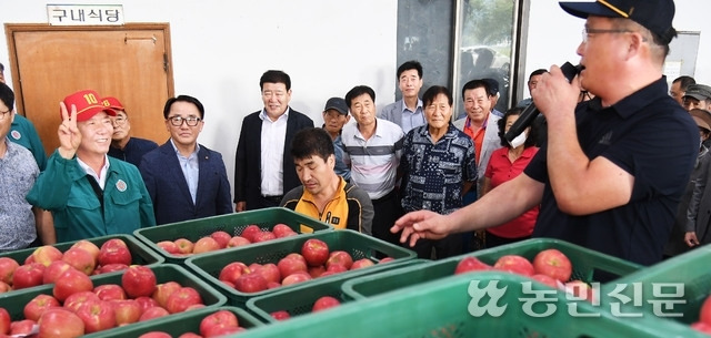 구인모 경남 거창군수(앞줄 왼쪽 두번째부터)와 오종석 거창사과원예농협 조합장 등이 거창사과 경매를 참관하고 있다.