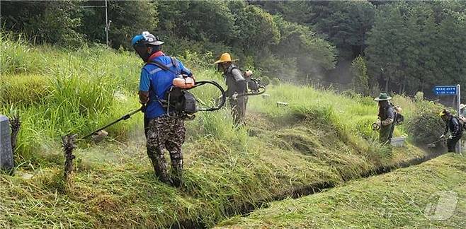 3일 오전 부산영락공원 제8묘원에서 작업자들이 벌초 작업을 하고 있다.2024.9.3.(부산시설공단 제공)