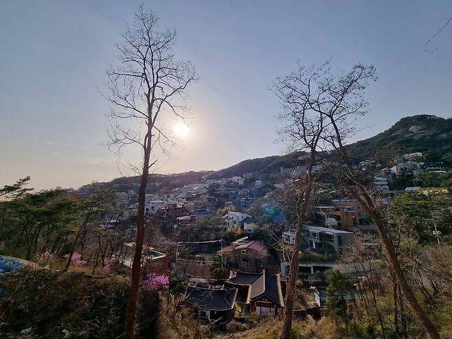 지난 4일 서울 종로구 평창동에 주택이 밀집해있다. /박지윤 기자