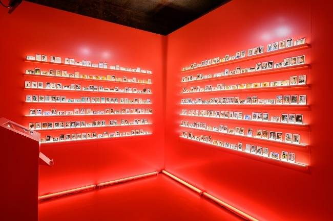 디아지오코리아