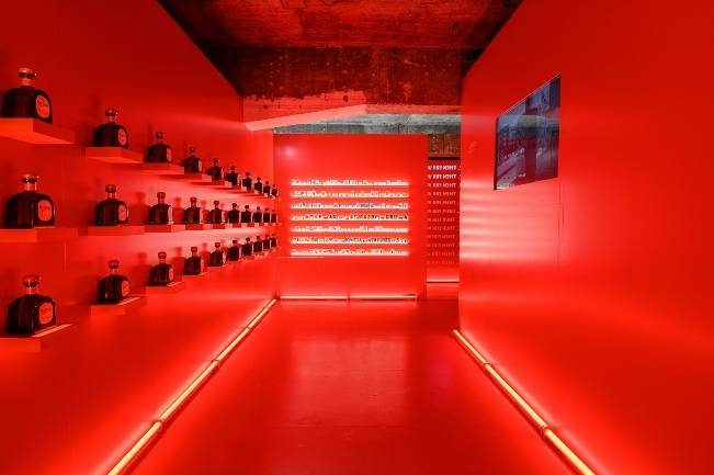 디아지오코리아