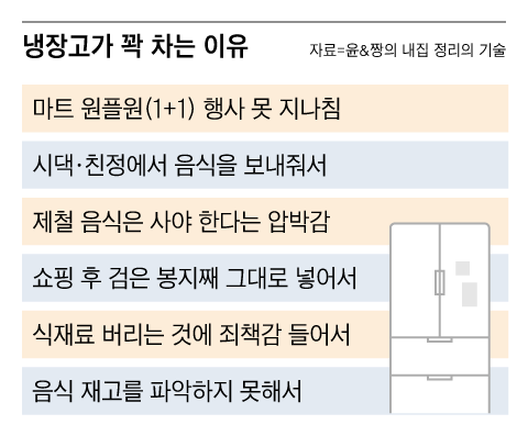 그래픽=조선디자인랩 정다운