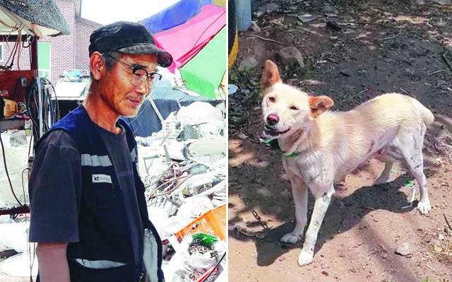 지난 6월 29일 경기도 하남시 재개발 예정지 고물상에서 만난 박만수(66)씨가 토순이네가 살던 자리를 바라보며 추억에 잠겨있다. 올해 1월부터 토순이와 새끼 두 마리를 보살폈던 박씨는 이들이  더 나은 환경에서 보살핌을 받을 수 있도록 이별을 선택했다. 최수진 기자