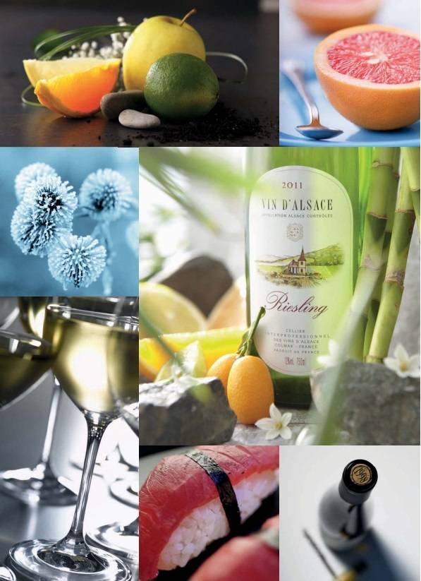 리슬링 맛과 향. 알자스와인협회