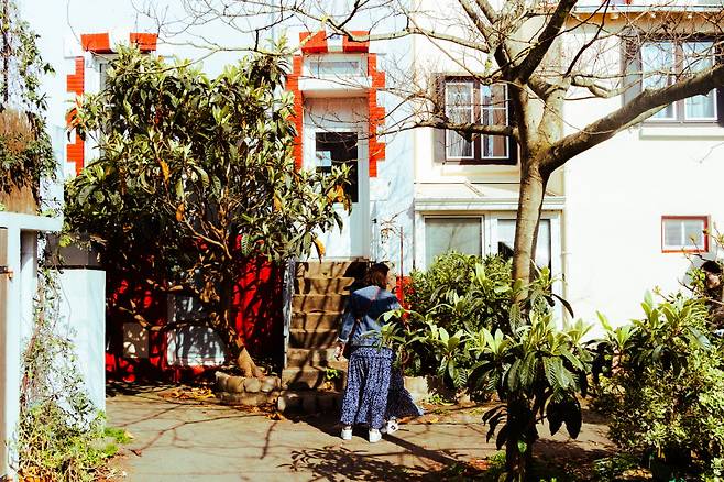 트랑트무 곳곳에 공기처럼 존재하는 이국의 식물들