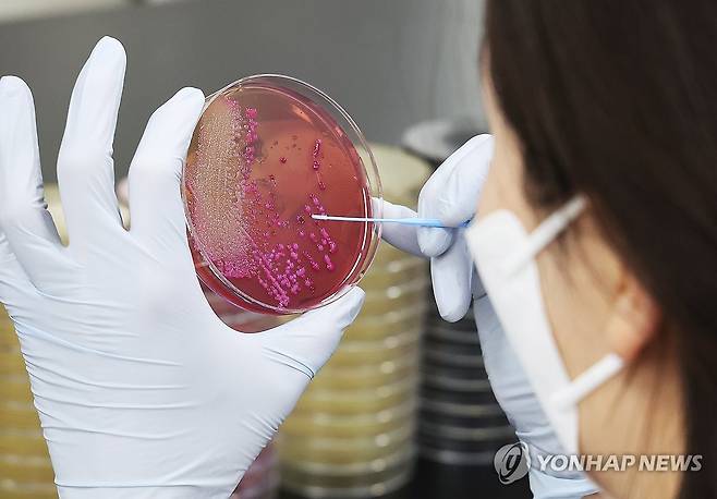 식중독균 검사 [연합뉴스 자료사진으로 기사 내용과 관계없음.]