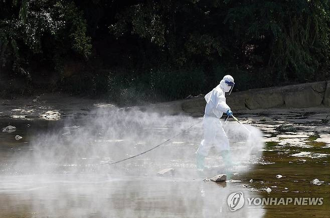 지난달 29일 광주 북구보건소 감염병관리팀 방역방원들이 북구 임동 서방천 일원에서 감염병 방지를 위해 방역 작업을 하고 있다. [사진 = 광주 북구]