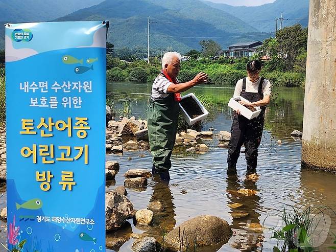 토산어종 어린고기 방류 자료사진.(경기도 제공)