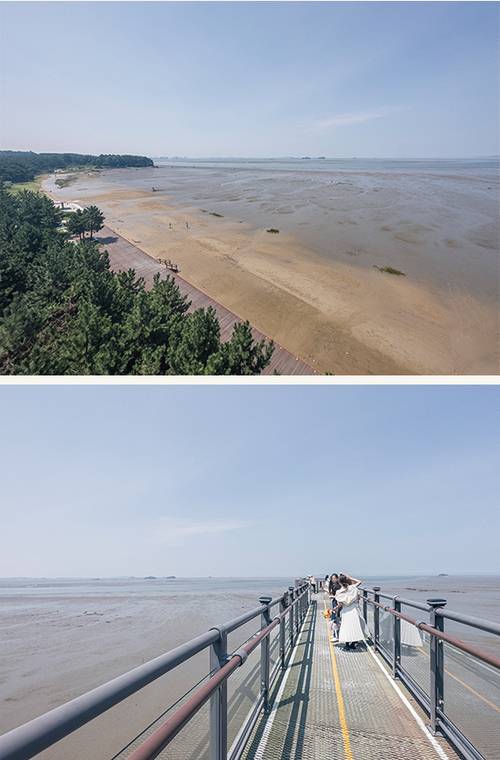 드넓게 펼쳐진  해와 갯벌, 높이 15미터의 스카이워크를 걸으며 서해바다를 만난다.