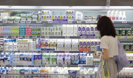 글로벌 우유와 치즈 등 유제품 가격이 올해 최대 수준까지 오른 것으로 나타났다. 사진은 대형마트 유제품 코너. 연합뉴스