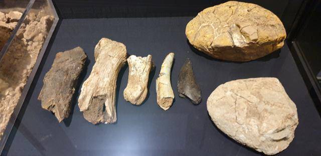 부서진 동물뼈나 골수를 먹을 때 사용했을 것으로 추정되는 모루 석기.